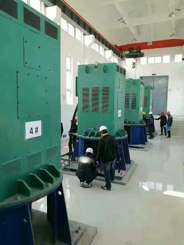 贡山某污水处理厂使用我厂的立式高压电机安装现场