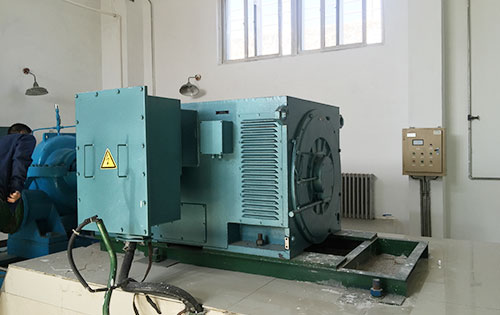 贡山某水电站工程主水泵使用我公司高压电机一年质保