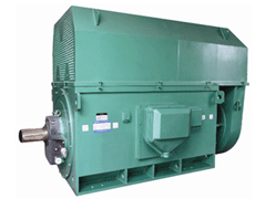 贡山Y系列6KV高压电机